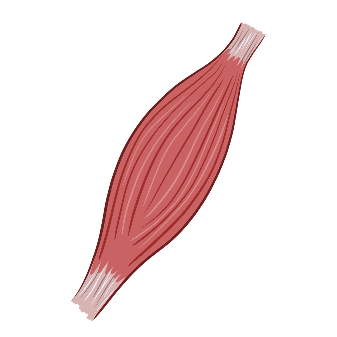 Izmokra